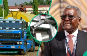 Tensão no setor de petróleo, pois os profissionais de marketing apresentam uma nova alegação contra Dangote Tensão no setor de petróleo, pois os profissionais de marketing apresentam uma nova alegação contra Dangote