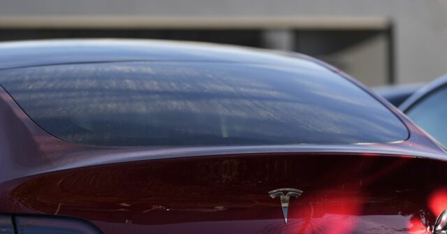 Arquivo - Um Modelo Y da Tesla e outros veículos Telsla estão em uma concessionária, quarta -feira, 19 de março de 2025, em Kennesaw, Geórgia (AP Photo/Mike Stewart, arquivo)