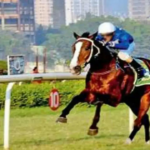Thalassa pode colarinho de colarinho em Indian St Leger (gr 1)