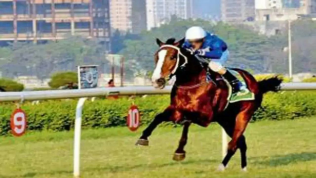 Thalassa pode colarinho de colarinho em Indian St Leger (gr 1) 

