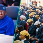 Tinubu aprova a criação do novo Tribunal de Apelação, a razão surge