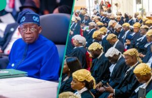 Tinubu aprova a criação do novo Tribunal de Apelação, a razão surge Tinubu aprova a criação do novo Tribunal de Apelação, a razão surge