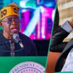 Tinubu vs Sowore: Chefe APC superior para o candidato ex-AAP, "retire o vergonhoso"
