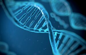 Top Doc sobre como o comportamento pode impactar a genética: ‘Nosso destino não é fixo’ Top Doc sobre como o comportamento pode impactar a genética: 'Nosso destino não é fixo'