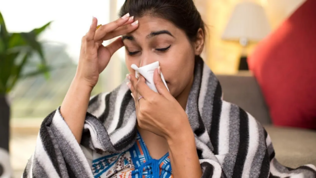 Transformando o clima que dirige situações H3N2 em Delhi-NCR: Especialistas 

