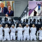 Tribunal de Apelações Bloqueia Trump de deportar membros da gangue Tren de Aragua