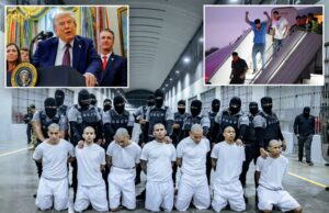 Tribunal de Apelações Bloqueia Trump de deportar membros da gangue Tren de Aragua Tribunal de Apelações Bloqueia Trump de deportar membros da gangue Tren de Aragua