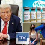 Trump exige que as empresas farmacêuticas divulgem dados sobre vacinas covid para o público