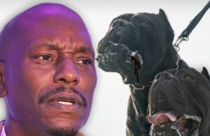 Tyrese desejou por policiais depois de seus animais de estimação Maul, o vizinho do vizinho da fatalidade em Atlanta Tyrese-getty-2