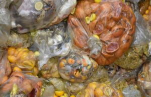 UE prende o desperdício de alimentos, moda rápida UE prende o desperdício de alimentos, moda rápida