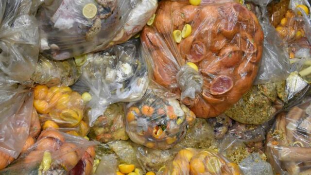 UE prende o desperdício de alimentos, moda rápida

