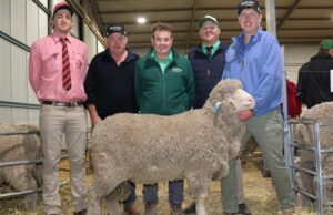 Um novo começo no Kamballie e Rockdale Valley On-Property Ram Sale Um novo começo no Kamballie e Rockdale Valley On-Property Ram Sale