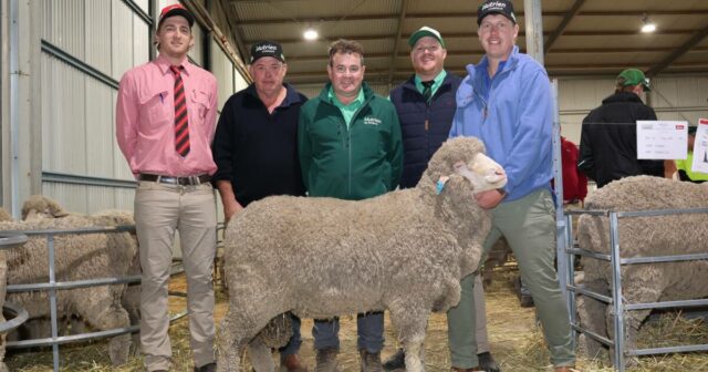 Um novo começo no Kamballie e Rockdale Valley On-Property Ram Sale

