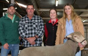 Uma formação uniforme do Prime Samms vê três rams iguais ao preço superior do dia Uma formação uniforme do Prime Samms vê três rams iguais ao preço superior do dia