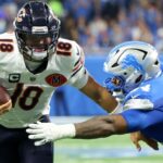 Ursos motivados pelo desenvolvimento de QB Williams em perda
