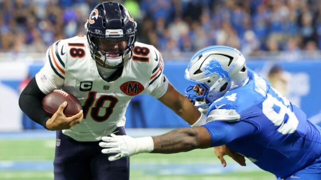Ursos motivados pelo desenvolvimento de QB Williams em perda 

