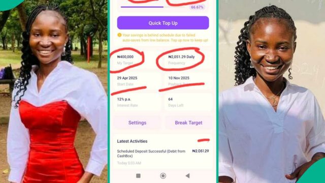 Veja o interesse esperado de Lady Saving N2K diariamente no Palmpay

