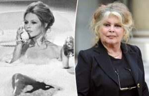 Brigitte Bardot, 91, levada às pressas para o hospital com uma doença misteriosa ‘grave’: relatório Brigitte Bardot, 91, levada às pressas para o hospital com uma doença misteriosa ‘grave’: relatório
