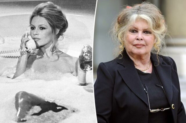 Brigitte Bardot, 91, levada às pressas para o hospital com uma doença misteriosa ‘grave’: relatório

