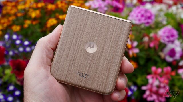 Motorola Razr 2025 contra uma árvore sempre -verde