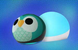 A Amazon tem seus pontos de coruja de Youngsters de quinta geração com Radiance espelhado 50% de desconto agora A Amazon tem seus pontos de coruja de Youngsters de quinta geração com Radiance espelhado 50% de desconto agora