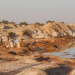 A administração Trump trabalha para quebrar o domínio dos minerais de terras raras da China na África