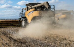 A contagem regressiva da colheita está ligada, com movimentação de máquinas de última hora A contagem regressiva da colheita está ligada, com movimentação de máquinas de última hora