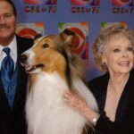 A estrela June Lockhart falece aos 100 anos