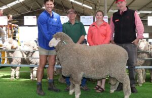 A formação dominante de Rams mostrou as características que este estúdio é conhecido por A formação dominante de Rams mostrou as características que este estúdio é conhecido por