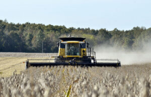 A incompetência de Trump está reforçando a China – e estragando os agricultores dos EUA Elon Musk mantém uma serra elétrica que recebeu do presidente da Argentina, Javier Milei, à direita, quando eles chegam para falar na conservadora Conferência de Ação Política, CPAC, no Gaylord National Resort & Convention Center, quinta -feira, 20 de fevereiro de 2025, em Oxon Hill, Maryland (AP Photo/Jose Luis Magana)