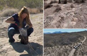 A investigação continua após a descoberta de centenas de restos humanos cremados, recuperados no deserto de Nevada A investigação continua após a descoberta de centenas de restos humanos cremados, recuperados no deserto de Nevada