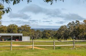 A propriedade Henty está em busca de novo proprietário pronto para iniciar um empreendimento pecuário A propriedade Henty está em busca de novo proprietário pronto para iniciar um empreendimento pecuário