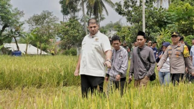 A razão pela qual a Comissão de Erradicação da Corrupção A razão pela qual a Comissão de Erradicação da Corrupção (KPK) está a examinar Rajiv, membro do DPR, em Cirebon, é devido a esta