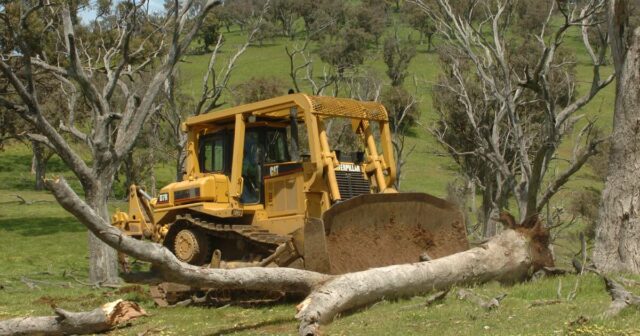 A revisão da lei verde trabalhista levanta questões de gestão de terras para os agricultores

