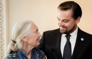 A última mensagem de Leonardo DiCaprio para Jane Goodall foi ‘você é meu herói’: ‘Ela influenciou milhões ao tratamento, a agir e esperar’ A última mensagem de Leonardo DiCaprio para Jane Goodall foi 'você é meu herói': 'Ela influenciou milhões ao tratamento, a agir e esperar'