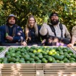 Abacates têm seu dia ao sol, arrasando no mercado competitivo