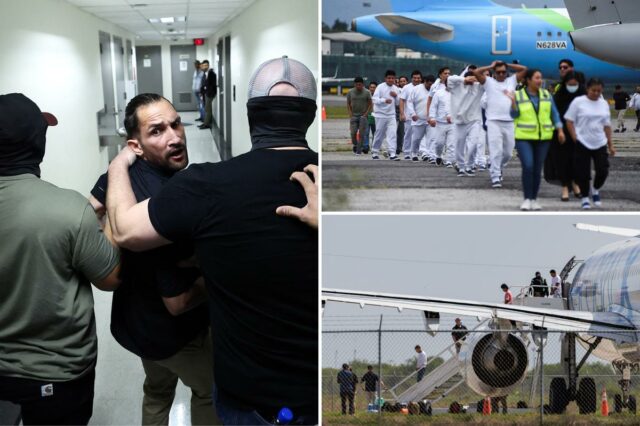 Administrador de Trump está a caminho de quebrar recorde de deportação até o final do primeiro ano: 'Apenas o começo'

