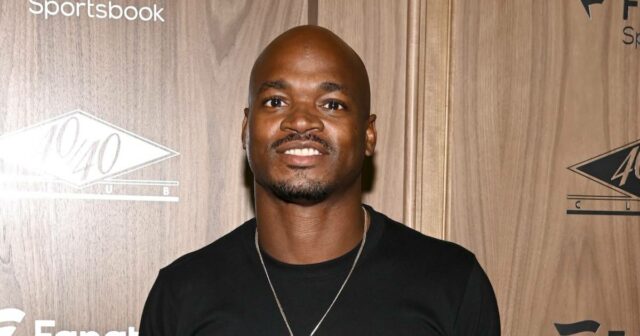 Adrian Peterson detido por Dui e transporte de ferramentas 'ilegal' Ariana Biermann DUI prisão tudo sabe