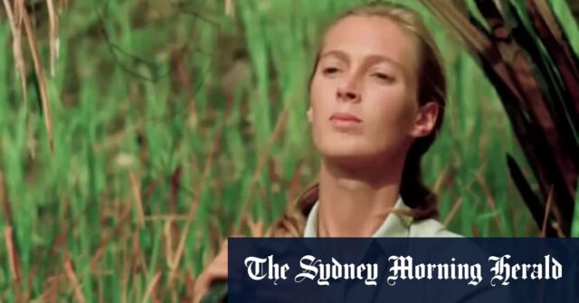 Advogado da Vida Selvagem, especialista em primatas Jane Goodall morre em 91

