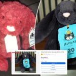 Afaste-se, labubus: as pessoas estão dispostas a pagar mais de US $ 10 mil por esses brinquedos fofinhos