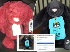 Afaste-se, labubus: as pessoas estão dispostas a pagar mais de US $ 10 mil por esses brinquedos fofinhos Afaste-se, labubus: as pessoas estão dispostas a pagar mais de US $ 10 mil por esses brinquedos fofinhos