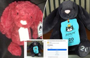 Afaste-se, labubus: as pessoas estão dispostas a pagar mais de US $ 10 mil por esses brinquedos fofinhos Afaste-se, labubus: as pessoas estão dispostas a pagar mais de US $ 10 mil por esses brinquedos fofinhos