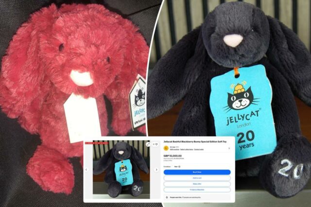 Afaste-se, labubus: as pessoas estão dispostas a pagar mais de US $ 10 mil por esses brinquedos fofinhos


