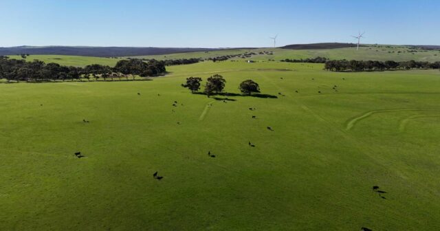 Agregação imobiliária nobre do meio-oeste capitaliza o mercado premium de Wagyu

