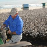 Agricultores e Nats se irritam com o apelo do czar do clima do Partido Trabalhista para acabar com os descontos do diesel