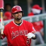Albert Pujols ganhando impulso na busca de técnico do Angels