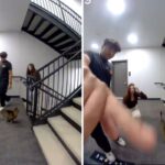 Neighbors returning cat