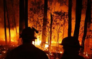 Alerta de US$ 330 bilhões antes da temporada de incêndios florestais Equipes do CFA monitoram incêndios florestais e iniciam queimadas entre as cidades de Orbost e Lakes Entrance, no leste de Gipplsland, em 2 de janeiro de 2020, na Austrália.
