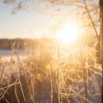Alertas de inverno se estendem para 12 estados