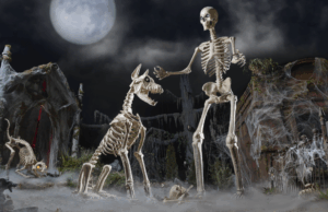 Alguns dos depósitos de casa gigantescos de Halloween Decors vendem à venda-consistindo em Skellys New Family Pets Alguns dos depósitos de casa gigantescos de Halloween Decors vendem à venda-consistindo em Skellys New Family Pets